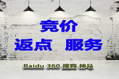 某企业通过搜索开户返点实现盈利增长